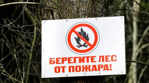 В Подмосковье началась подготовка к пожароопасному сезону