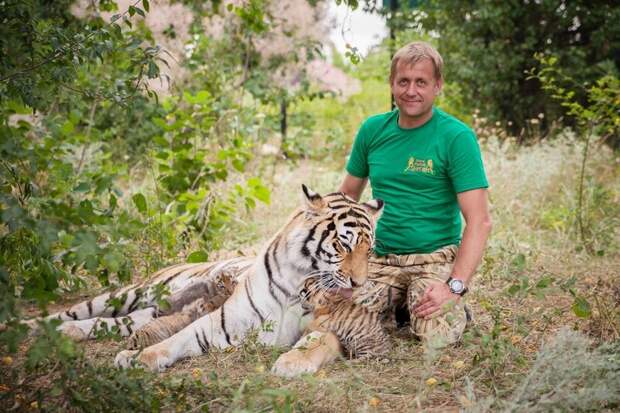 Владелец «Тайгана» получил срок по делу об откушенном тигром пальце