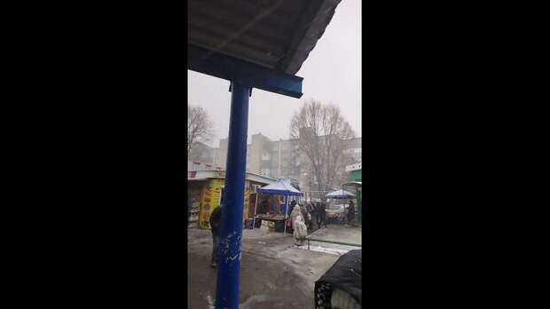 Video: VivaCut_video_1738666392742_HD.mp4