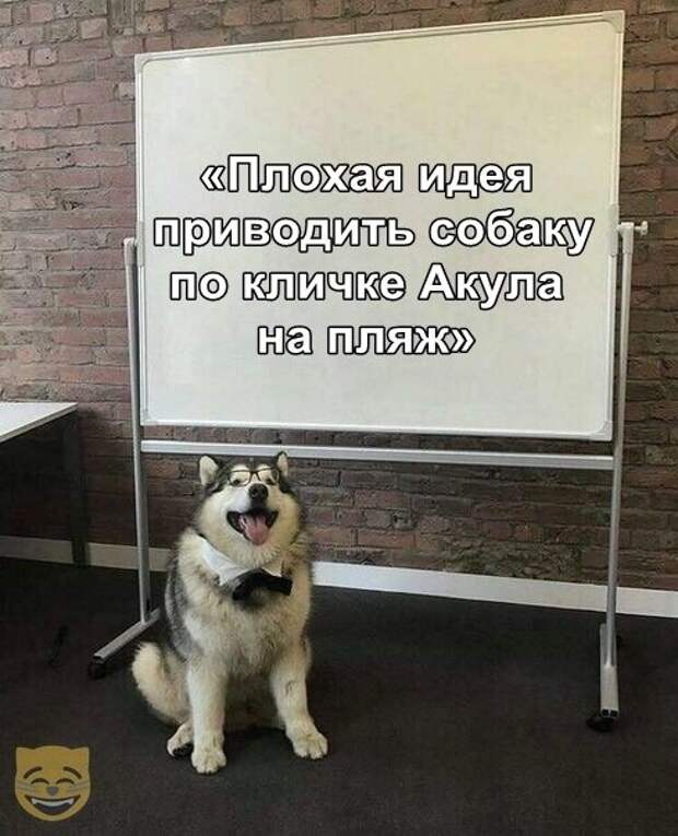 насобиралок пост