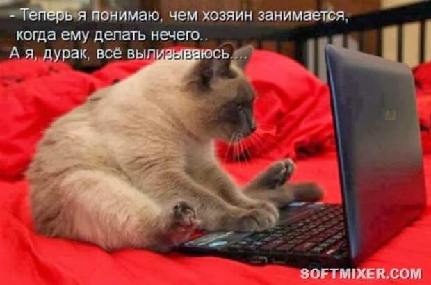 7d82d50fac444e69b4df4c408e4_prev