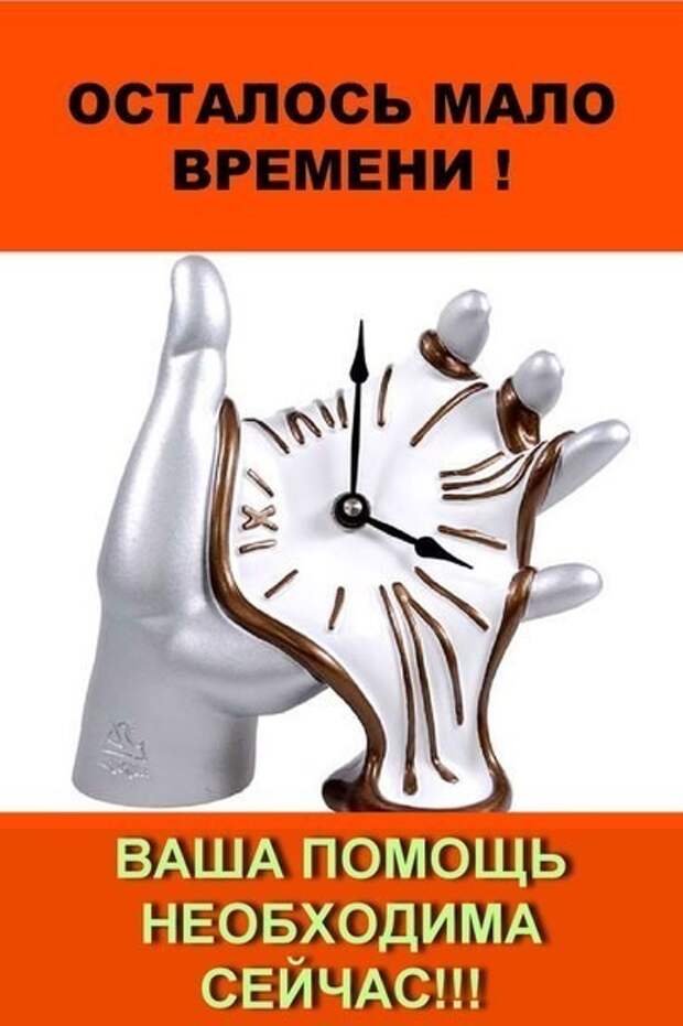 Мега SOS!!! Малыши в очень плохом состоянии... Они скоро погибнут.. Умоляем, помогите1