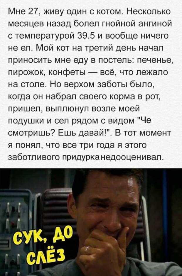 Подборка картинок (20 фото)