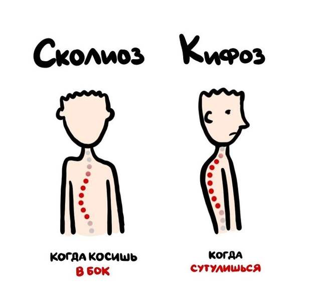 Полезные подсказки о вещах и понятиях, которые люди часто путают