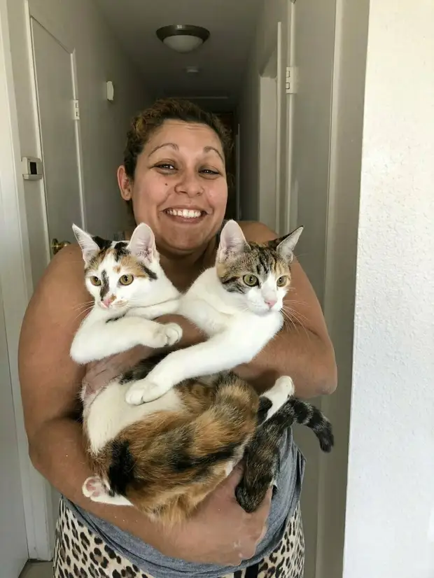 10 людей, которые вначале были против «грязного кота», но потом что-то пошло не так