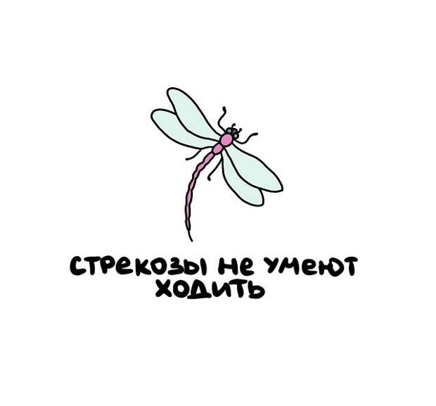 Интересные, но короткие факты на все случаи жизни