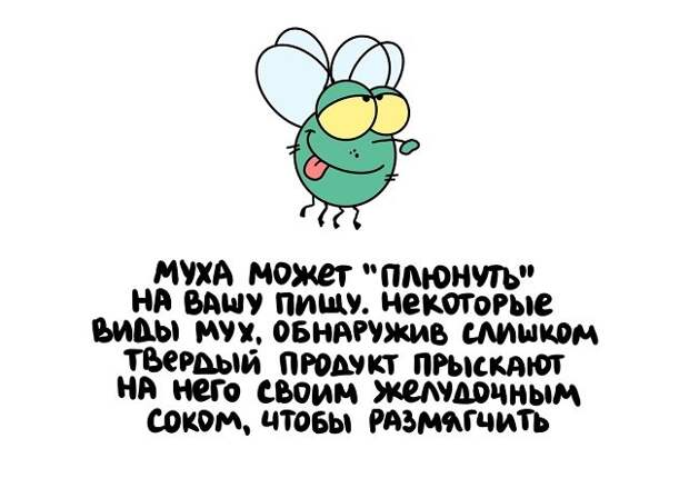 Интересные короткие факты на все случаи жизни