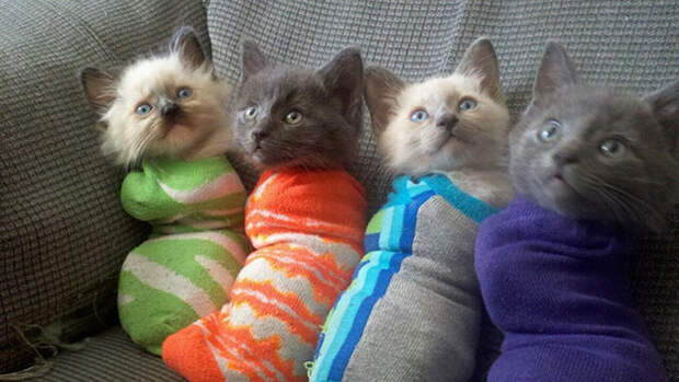 Squad goal achieved.