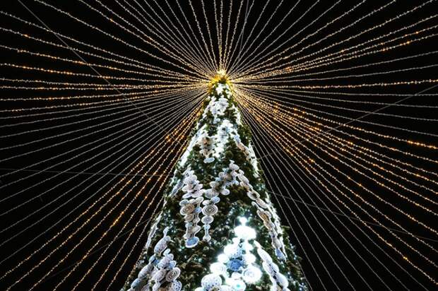 Медик Максим Угнивенко рассказал, как избавиться от стресса в праздники