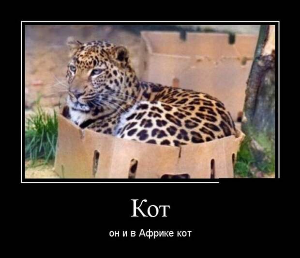 Демотиваторы (30 фото)