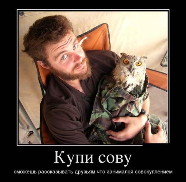 Демотиваторы (30 фото)