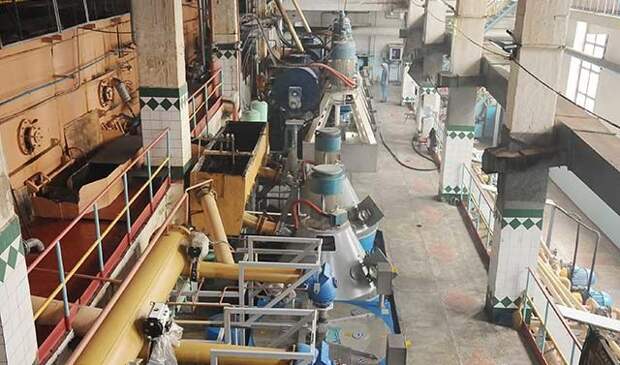 Будет ли дефицит сахара? Свекольный фронт Кубани: аграрии боятся повторения засухи - сеют мало