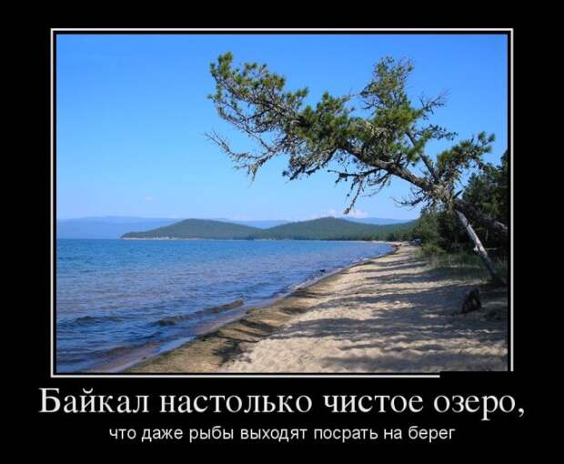 Демотиваторы (30 фото) Демотиваторы (30 фото)