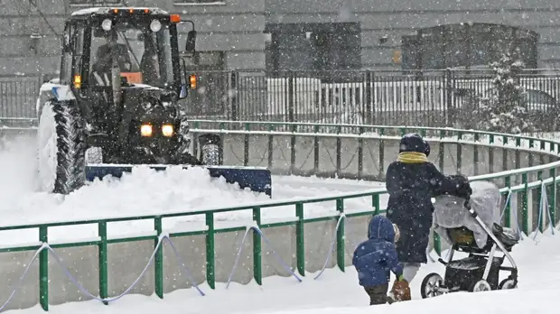 Вирусолог Викулов рассказал об особенностях детского иммунитета