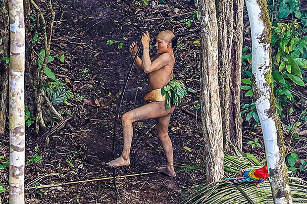 Бразильскому фотографу удалось подобраться как никогда близко к абсолютно дикому племени в лесах Амазонии
