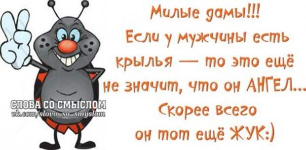 Позитивные фразочки...