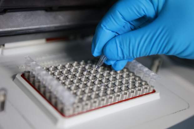 Найденные на Бали останки принадлежат сыну украинского бизнесмена Комарова