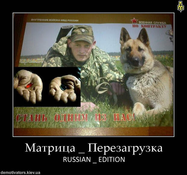 Демотиваторы и мотиваторы. Демотиваторы и закосы под них_12-11-2012 Демотиваторы и мотиваторы. Демотиваторы и закосы под них_12-11-2012