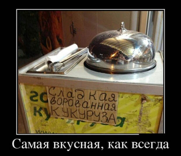 Демотиваторы (30 фото)