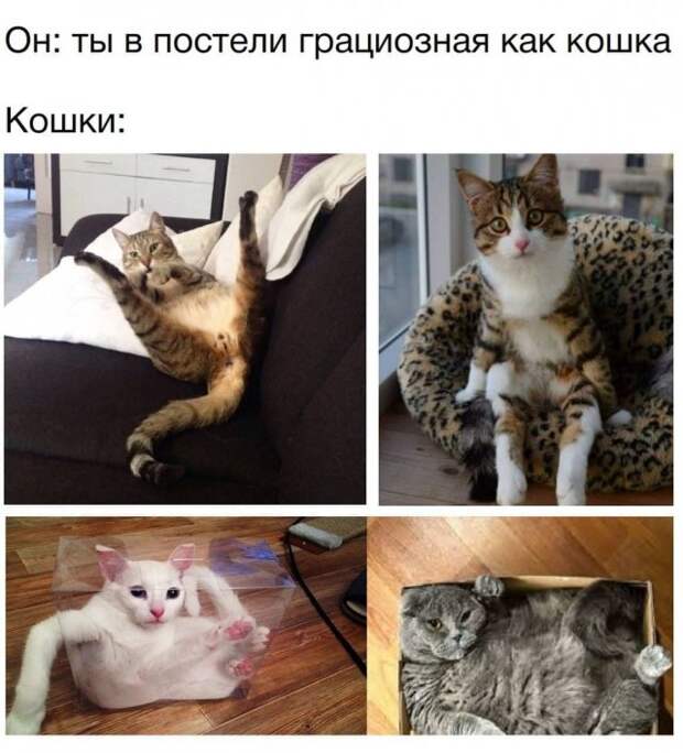 Мемы и приколы про отношения и 