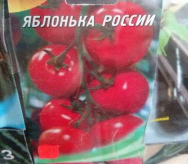 02c55cd99647751c3e489d78651_prev