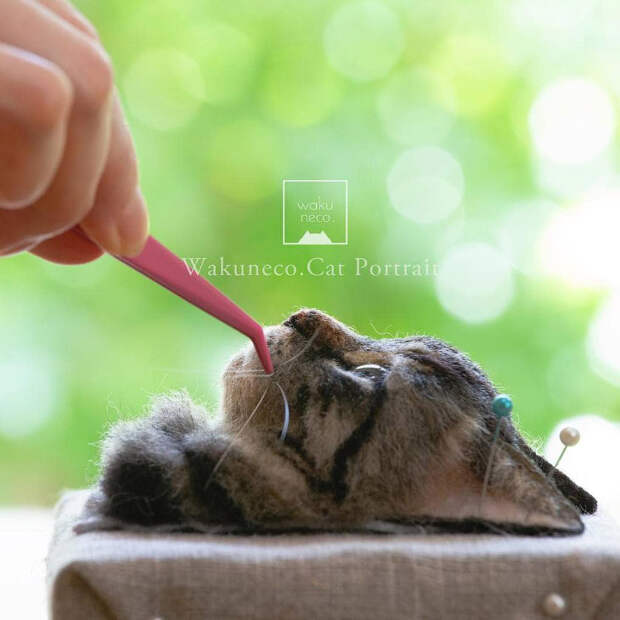 Реалистичные 3D-портреты кошек из шерсти