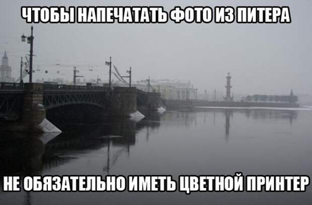 www.vsyako.net