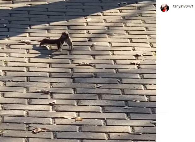 Скриншот Instagram-аккаунта tanya170471