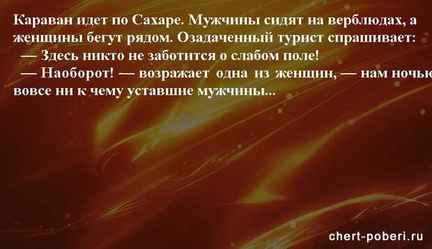 Самые смешные анекдоты ежедневная подборка chert-poberi-anekdoty-chert-poberi-anekdoty-11581112082020-12 картинка chert-poberi-anekdoty-11581112082020-12