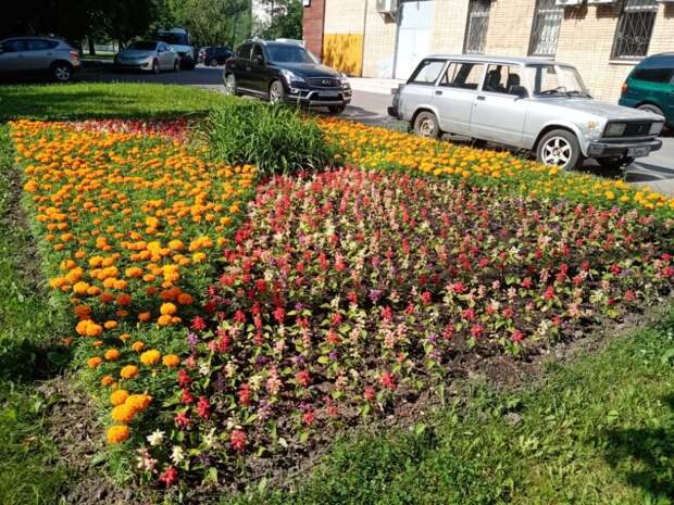 В Южном Медведкове пройдет конкурс цветочных композиций