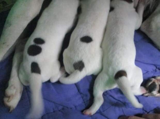 10 фото, на которых запечатлены редкие моменты