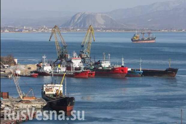 Не так поняли: в США оправдываются, что не собираются «контролировать» порты в Приморье | Русская весна