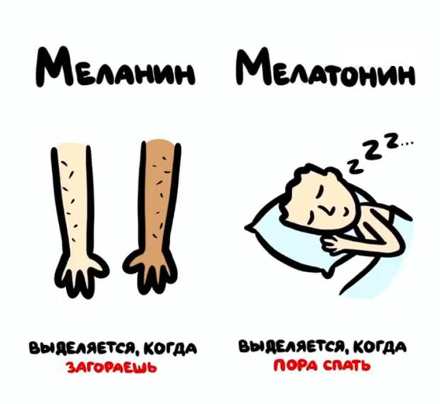 Полезные подсказки о вещах и понятиях, которые люди часто путают