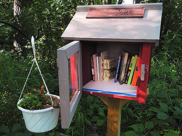 Little Free Library: библиотека в боксе