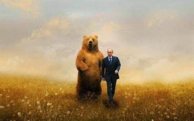 Не надо было злить русского медведя: Жёсткий ответ Москвы поставил Вашингтон в тупик