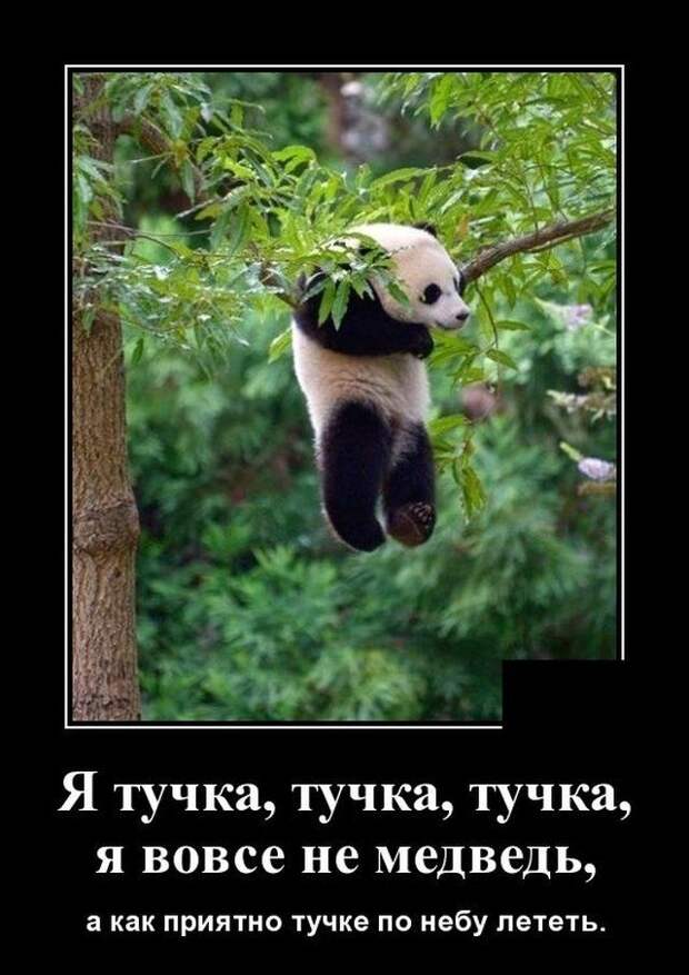 demotivatory-demotivator-smeshnye-demotivatory-demotivator-so-smyslom