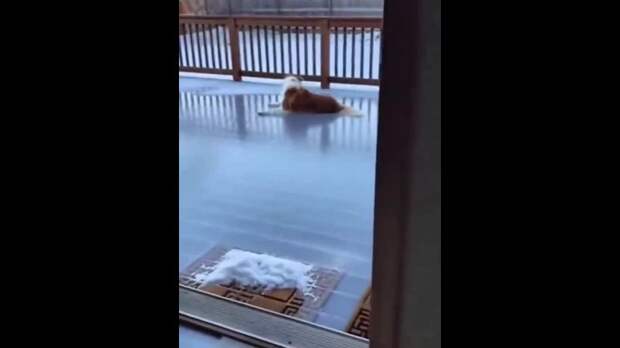 Коротко о погоде в Донецке https://t.me/webmoney_dn/313306Video: Клип