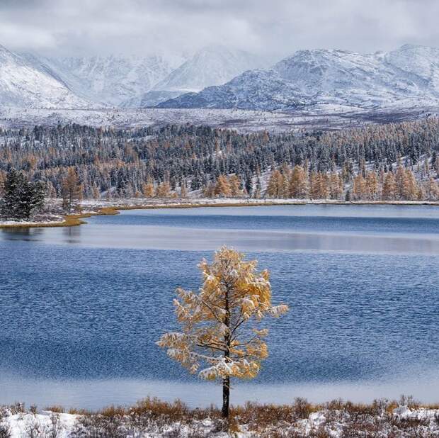 Озеро Киделю, Алтай горы, леса, природа, природа России, российская природа, россия