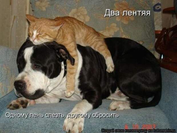 Мысли вслух :)