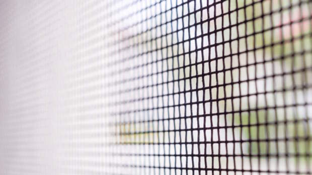 Снова как новые: как отмыть москитные сетки от уличной копоти и пыли за 5 минут