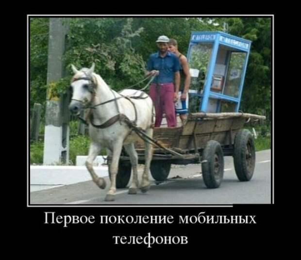 Демотиваторы (30 фото)