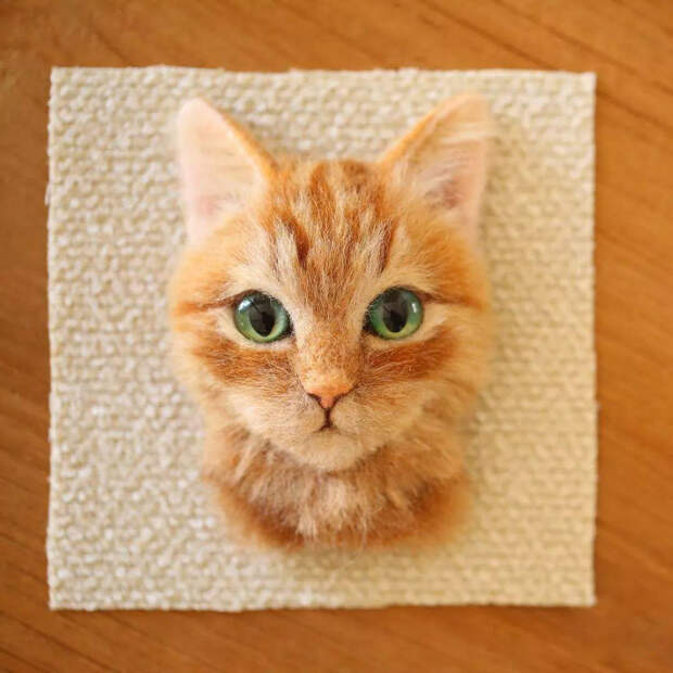 Реалистичные 3D-портреты кошек из шерсти