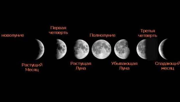 luna-dieta-1.jpg