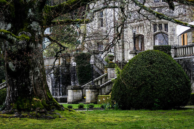 В Лондоне нашли заброшенный 30 лет назад загадочный особняк