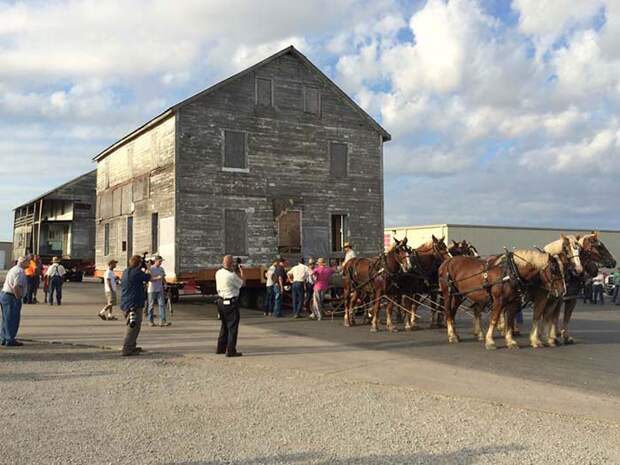В 2016 году два дома амишей Иллинойса были перенесены на новое место с помощью лошадей.