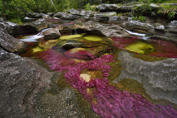 NewPix.ru - Яркие краски самой красивой реки в мире