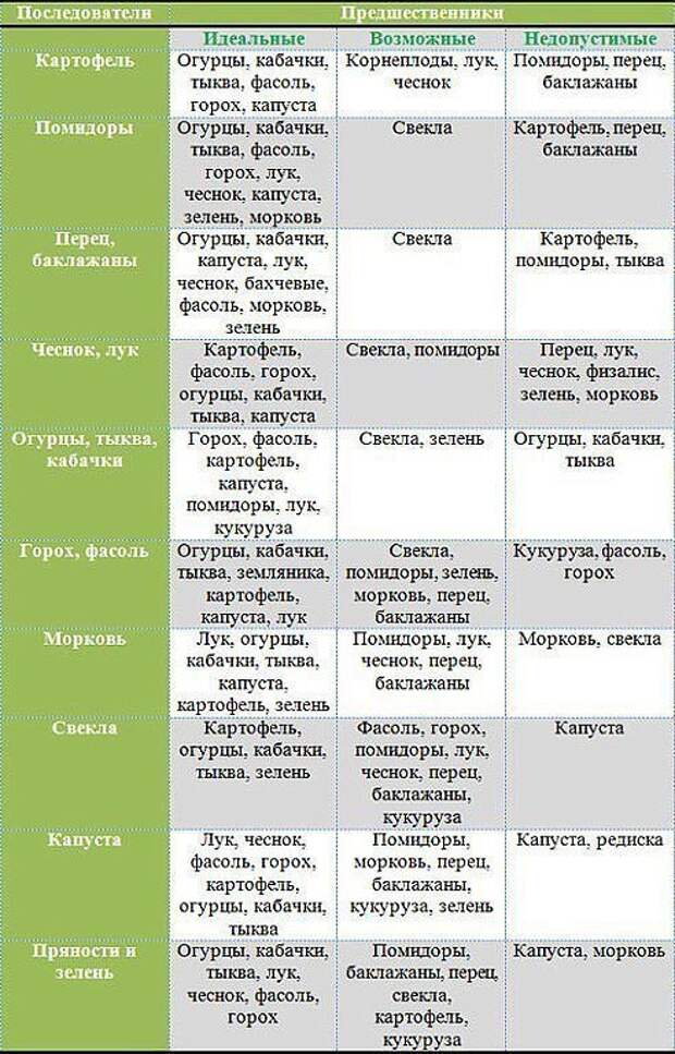 Чередование посадки овощей на огороде схема и описание