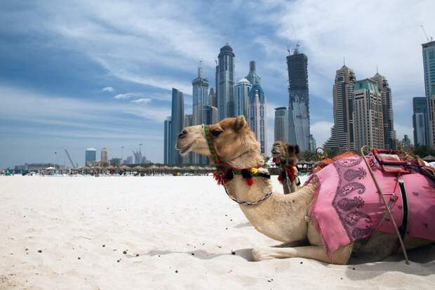 12 место. Дубай, Объединенные Арабские Эмираты: 10,5 млн международных туристов в мире, города, посещаемость