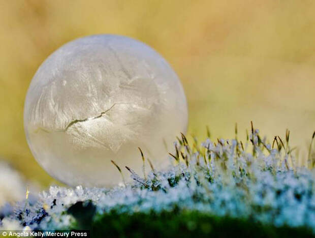 article 2528325 1A43C47A00000578 76 634x479 Хрустальные шары: Девушка фотографирует мыльные пузыри в мороз