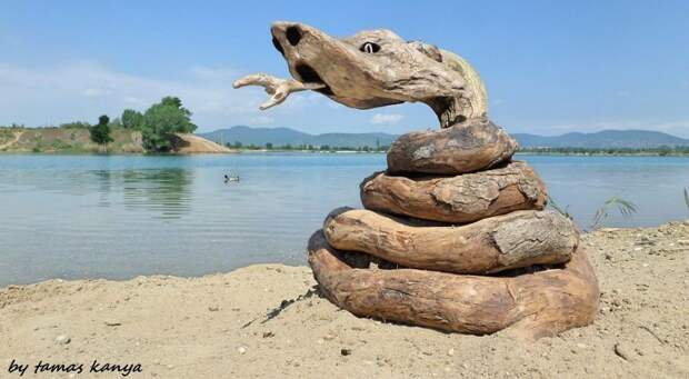 Скульптуры из коряг, выброшенных на берег